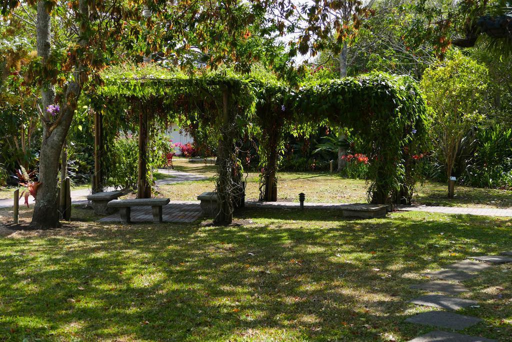 Hotel Bougainvillea San José Santo Domingo De Heredia Kültér fotó