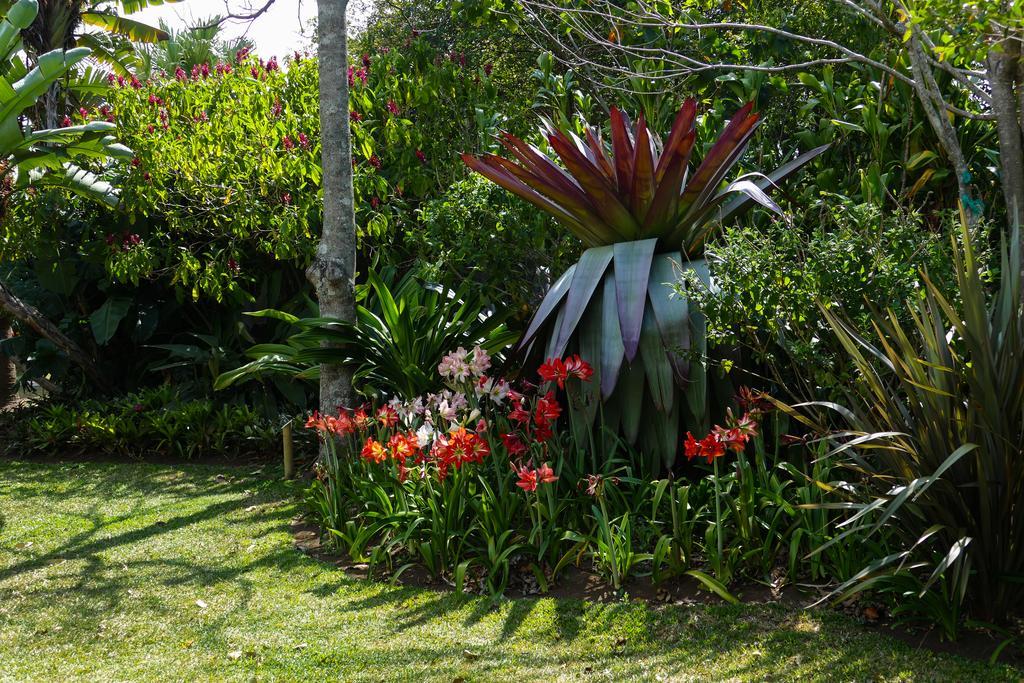 Hotel Bougainvillea San José Santo Domingo De Heredia Kültér fotó